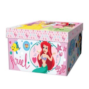 Κουτί Αποθήκευσης από Χαρτόνι 33x24x18εκ Princess