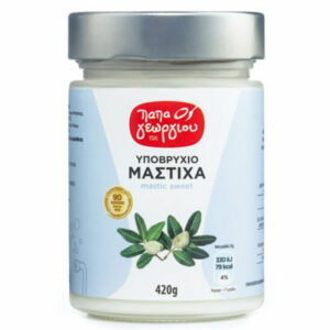 Παπαγεωργίου Υποβρύχιο Μαστίχα 420gr