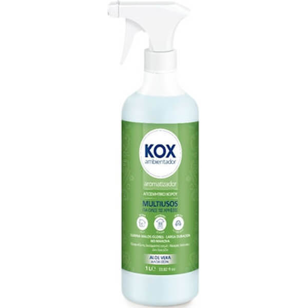 CISNE Κοχ Αρωματικό Χώρου 1000ml (Aloe Vera)